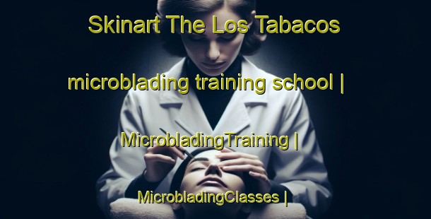 Skinart The Los Tabacos microblading training school | MicrobladingTraining | MicrobladingClasses | SkinartTraining-Mexico